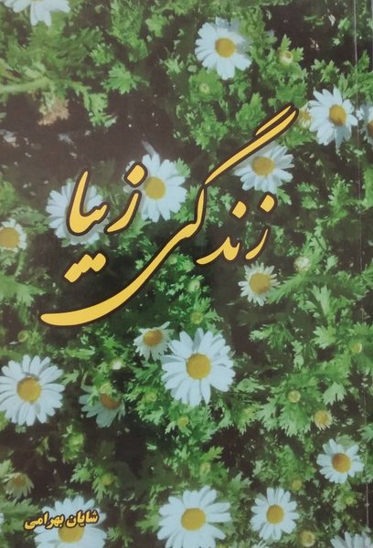 زندگی زیبا